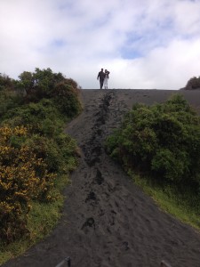 Taupo - Mt Egmont-051